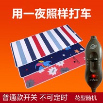 12V 전기장판 DC 캠핑 전기매트 차박 캠핑 카라반 2인용 시가잭, C + 170x50cm
