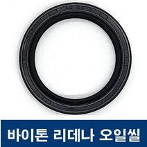 에스케이종합상사 바이톤 리데나 95-115-13 (95X115X13) 오일씰 TC