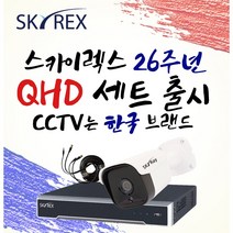 스카이렉스 QHD 초고화질 하이브리드 매장&가정용CCTV 케이블20M 풀세트 실내외겸용, 보급형 실내1개(전용 케이블 20M+아답터)