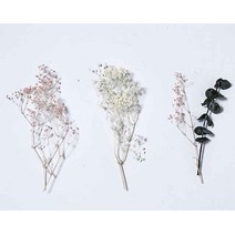 수앤로즈플라워 유칼립투스 미스티블루 모음 드라이플라워 리본모음 프리저브드 데코활용 사진촬영 말린꽃 디퓨저재료 하바리움재료 초대장만들기 청첩장만들기 예쁜리본, 미니 안개, 화이트