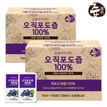 즙쟁이 포도즙 100포×2박스 실속형, 2개, 포도즙 100포 2박스