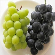 애플청포도 샤인머스켓 씨없는 청포도 1kg, 07_씨없는 청포도 1kg