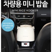 차량용 미니 전기밥솥 3-4인용 /캠핑밥솥/미니밥솥/캠핑 차박, 규격:3-4인용 12V