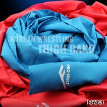 씨름 샅바 성인 민속 어른용 동호회 블루+레드(1세트) bluemoon6868*663160168tx, 본상품선택
