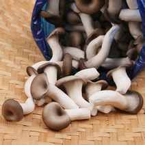 느타리버섯 1kg 팔팔마켓 국내산 생 느타리 버섯