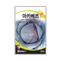 아카베쯔 2000립 양배추씨앗 조생종 적양배추, 단품