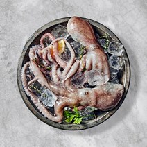 홍천철원 태안 자연산 활낙지(대) 1kg (2~4마리), 없음, 단품