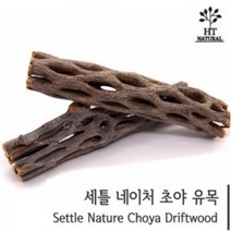 세틀 초야우드 (선인장 유목) S 10cm 새우 열대어 은신처