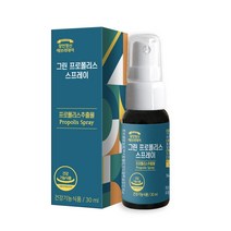 장인정신 에브리데이 그린 프로폴리스 스프레이, 1개, 30ml