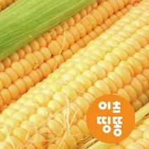 강원도 괴산 장연 냉동 찰옥수수 15개입 30개입, 15개