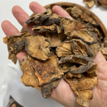 국내산100% 바싹볶은 돼지감자 차 500g 1팩 2팩