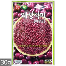 서리태 씨앗 30g - 콩 씨 청약콩 검은콩 쥐눈이콩 서리태씨앗 콩 검정콩씨앗 검은콩씨앗 콩씨앗 서리태씨 검은콩씨 주말농장 텃밭, 16_왜성적피강낭콩(30g)