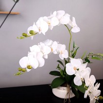 마쉬매리골드 조화 호접란 107cm, FM288-2315