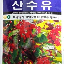 [가람종묘사] 산수유 씨앗(자양강장 혈액순환에 좋다는 열매)