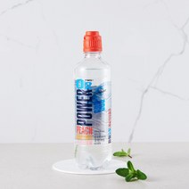 농심 파워오투복숭아자몽 500ML, 1개