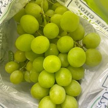 애플청포도 2kg 어텀크리스피 스윗글로브 씨없는 애플 포도 오톰크리스피