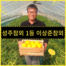 진짜 맛있는 참외만 보내드립니다.성주참외 16브릭스 3kg/5kg 참외10kg 이상준참외 산지직송, 10kg-소과