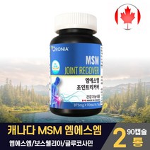 엠에스엠 조인트 리커버 글루코사민 msm 엠에스엔 글로코사민 보스웰리아 보수웰리아 보스월리아 손목 무릅 관절 연골 건강 도움 줄수 있음 영양제 남성 여성 직장인 성인 주부, 엠에스엠 조인트 리커버 90캡슐 2통