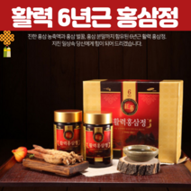 6년근 홍삼 활력 홍삼정 홍삼농축액 플러스 벌꿀 홍삼분말 뉴질랜드산 허니 전통원료 배합 농축 설 구정 선물 세트 고급 선물세트 패키지 대동 고려삼 250gX 2병 세트, 2박스