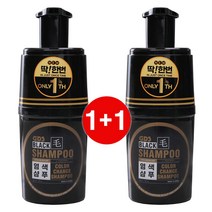 GDS 딱한번염색샴푸 200ml 2통 블랙모 탈모케어 새치커버샴푸, 딱한번염색샴푸 200ml X 2병