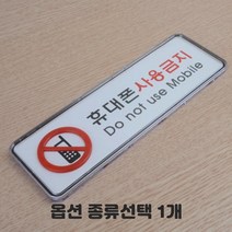 투명 케이스형 CCTV 보안카메라 녹화중 작동중 화장실 소화기 출입금지 금연 흡연 걸이형 부착형 당기세요 미세요 종류선택 1개, 휴대폰사용금지 대 3개입
