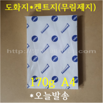 [ Best ] 켄트지 도화지 캔트지 170g A4 125매 / 수채화 오일파스텔 / 전문가용 미술용지