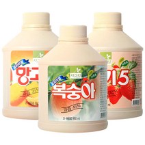 차그림 과일 주스 원액 850ml 과일 농축액, 딸기 850ml