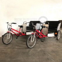 2인승전기자전거 승객 및 화물용 전기 세발 자전거 택시 페디캡 48V 500W 3 륜, 02 Electric FOB Price, 한개옵션1