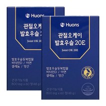 휴온스 관절오케이 발효우슬 20E 800mgX60정X2박스, 단품, 단품