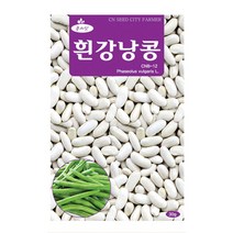 청농 흰강낭콩 씨앗 30g, 단품