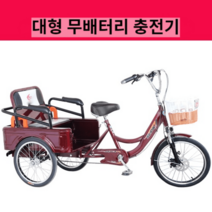 고령자용 세발자전거 전동보조 여객 화물겸용, 누더기 추가 요금(무배터리 충전기)