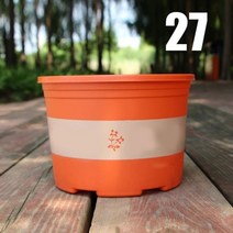 희귀 비싼 다육이 마술 화분 그루트화분 가오갤 콩분 슬릿분 다육이콩분 블루베리 슬릿분큰 라운드 짧은 꽃 냄비 제어 루트 장미 냄비 심기 묘목 농축 플라스틱 또는 트레이, 협력사, 27cm 두툼한 대야, 그물