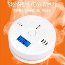 캠핑/차박/낚시/백패킹 휴대용 일산화탄소 경보기 감지기 CO 측정기, 화이트