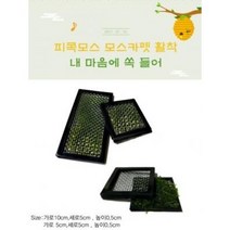 피콕모스 모스카펫활착 가로5cm 1개 (음성수초 활착 초보자)