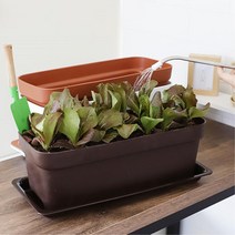 우리집 베란다 정원 토마토 키우기용 큰 화분 셀프인테리어 부엌 원룸, 화이트