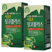 일양약품 서클존 징코플러스 4개월분, 60정, 16개