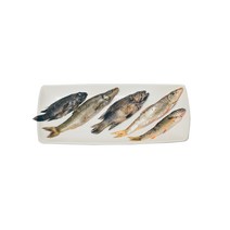 제천애 강원도 민물고기(잡고기) 450g 매운탕용, 450g*3팩