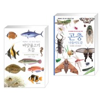 (서점추천) 바닷물고기 도감 : 세밀화로 그린 보리 어린이 도감 + 곤충 나들이도감 (전2권)