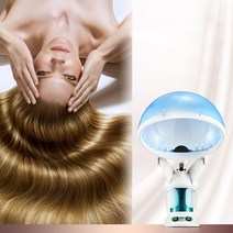 헤어스팀기 미용실 헤어 미스트 스티머 사우나 페이셜 2in1 다기능 가습기 오존 Vaporizador 페이스 에센셜 오일 기화기 증기 스킨 케어, [01] 220V EU plug