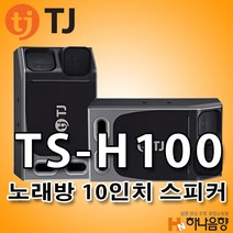 중고 TJ미디어 TS-H100 노래방 10인치 태진 스피커 1조