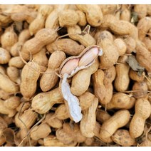 국산 부럼 생 피 땅콩 1kg, 국산 자연건조 (생)피땅콩 1kg, 1개