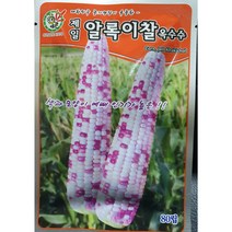 박사찰옥수수80립/알록이찰 80립/흑찰50립/박사찰150립, 박사찰옥수수 80립