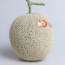 머스크 세지 파파야 칸탈로프 메론 3kg 6kg, 22_파파야 메론 5kg