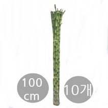 도도팜 개운죽 10cm 12cm(10개) 20cm 30cm 40cm 50cm 60cm 70cm 80cm 100cm 3단원통 나도풍란, 08.개운죽100cm(10p) 1개, 10개