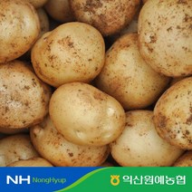 익산원예농협 국내산 100% 포슬포슬 수미감자 (특등급 2kg 3kg 5kg 10kg), 감자 특 5kg