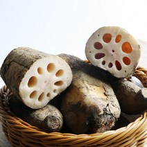 율스키친 경산연근 산지직송 무농약 통연근 생연근, 통연근 1kg 정품 상