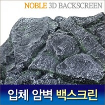 피알피쉬 Noble 3D 암벽 백스크린 #2-black