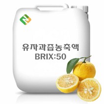 유자과즙농축액 20kg, 단품
