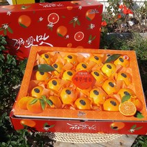 [추석과일선물세트] 제주황금향 2kg 3kg 5kg 제철을 맞아 더욱 풍성하고 향긋한 선물세트! 명절과일선물 박스무게포함, 황금향 5kg(15~25수 대과 쇼핑백이중포장)