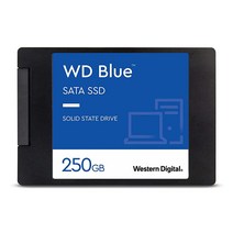 Western Digital 내장 SSD 블루 2TB 최대 560MB/s (WDS200T2B0A), 250GB, Newest Generation